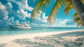 Zoom Beach digital photography background